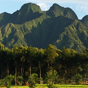 Volcanoes National Park, Rwanda