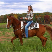 Horseback Ridding