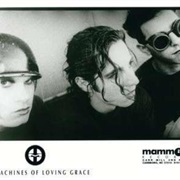 Machines of Loving Grace