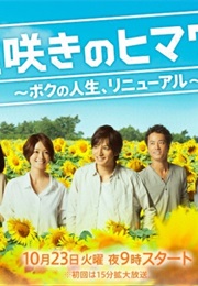 Osozaki No Himawari (2012)