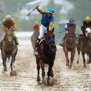 He Loves a Muddy Racetrack