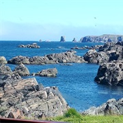 Bonavista Bay