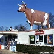 The Big Milker on Ecorse, Ypsi