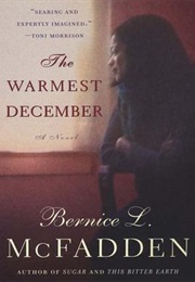 The Warmest December (Bernice L. McFadden)