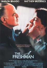 The Freshman (Andrew Bergman)