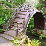 Japanese Tea Gardens