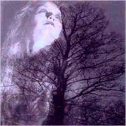 Autumn Tears Love Poems