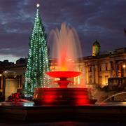 Admire Trafalgar Square's Christmas Tree With a Hot Chocolate.