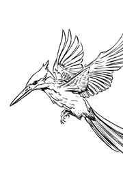 משחקי הרעב (סוזן קולינס)