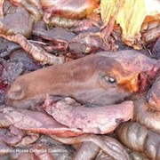 Horse Offal