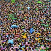 Elbow, Giants of All Sizes