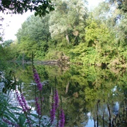 Dunajské Luhy Protected Landscape Area