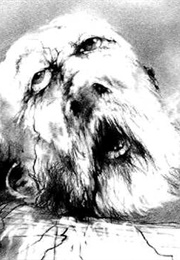 Me Tie Dough-Ty Walker, (Alvin Schwartz)