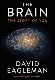 The Brain: The Story of You (David Eagleman)