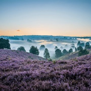 Veluwezoom National Park