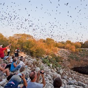 Bracken Bat Cave