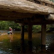 Clyde River National Park (NSW)