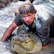 Wrestle a Crocodile