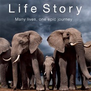 Life Story