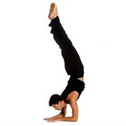 Feathered Peacock Pose