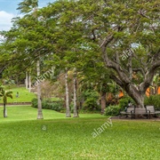 Queen Elizabeth Park, Hamilton, Bermuda