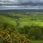 Fontmell and Melbury Downs, Wiltshire
