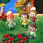 Animal Crossing: New Leaf