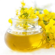 Expeller-Pressed Canola Oil