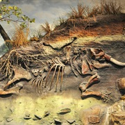 Boonshoft Museum of Discovery