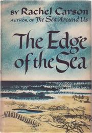 The Edge of the Sea
