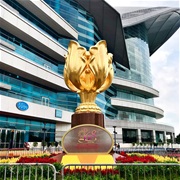Golden Bauhinia Square