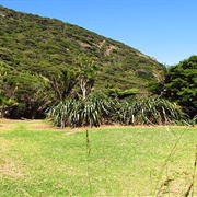 Pararaha Valley Campsite