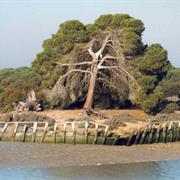 Doñana National Park