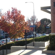 Atwater Village (Los Angeles, CA)