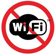 No Wifi Connection