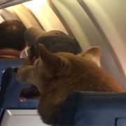 Just Sitting and Waiting to Arrive, Awake All Flight