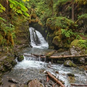 Virgin Creek Falls