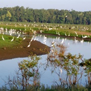 St. Catherine Creek National Wildlife Refuge