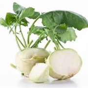 Koolrabi
