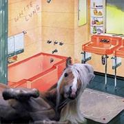 White Lung - 'Down With You'