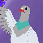 Pigeon