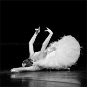 The Dying Swan
