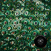 Moses Gunn Collective - Mercy Mountain