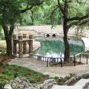 Radium Springs Garden