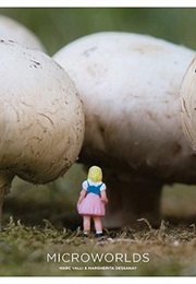Microworlds (Margherita Dessanay, Marc Valli, Marc Wahli)