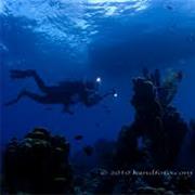 La Dania's Leap to Karpata, Bonaire