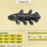 Coelacanth