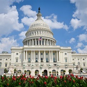 How the Government Works