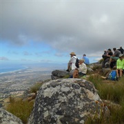 Hike Through the Helderberg Nature Reserve