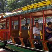 Excursion Car (1955-Present)